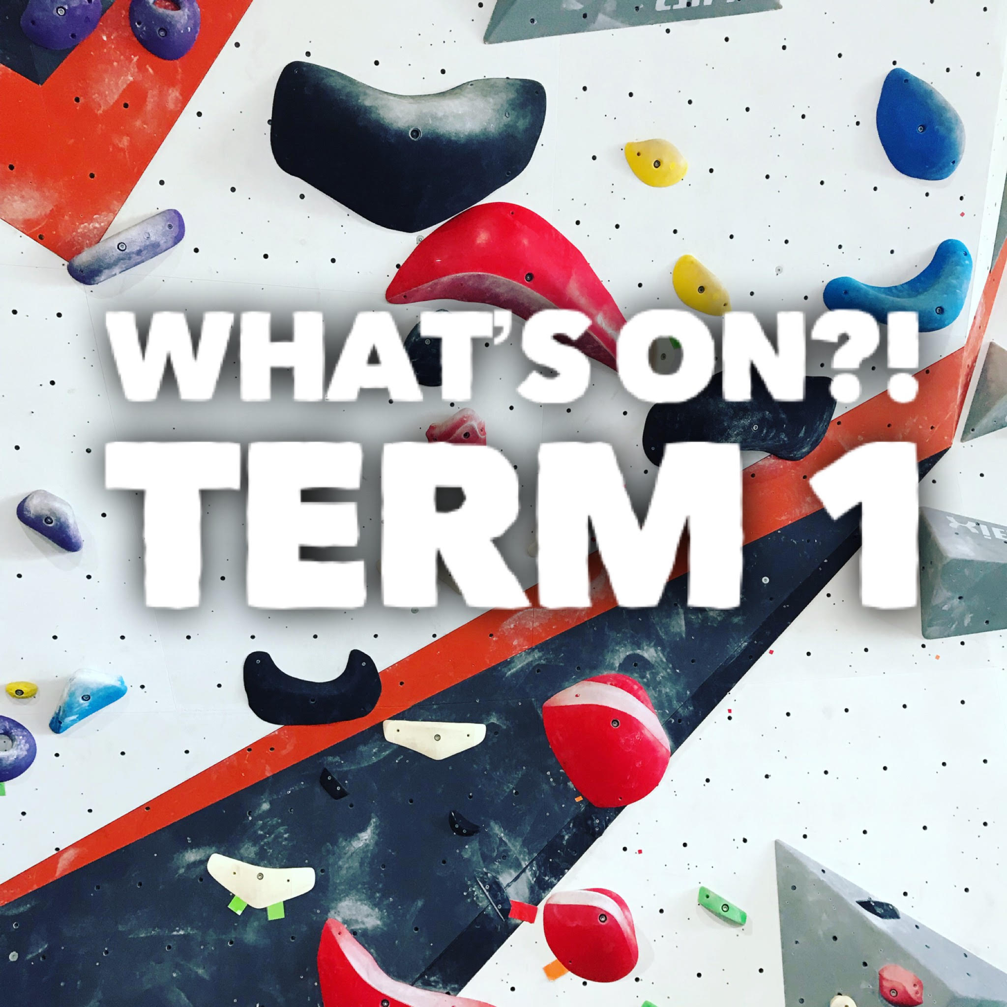 Term 1 – What’s On???